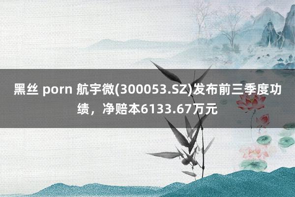 黑丝 porn 航宇微(300053.SZ)发布前三季度功绩,净赔本6133.67万元