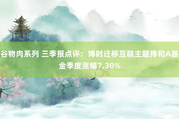 谷物肉系列 三季报点评:博时迁移互联主题搀和A基金季度涨幅7.30%
