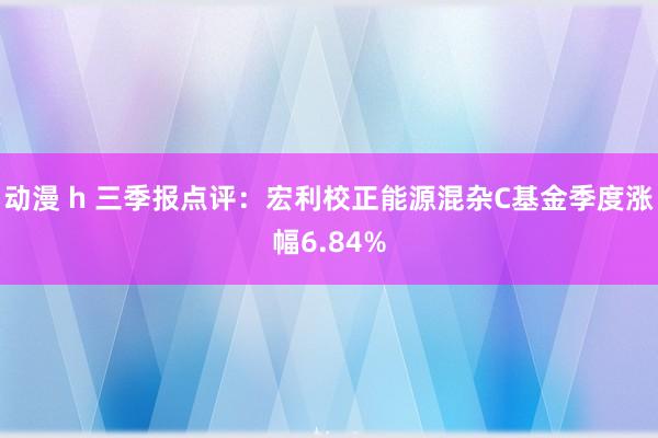 动漫 h 三季报点评:宏利校正能源混杂C基金季度涨幅6.84%