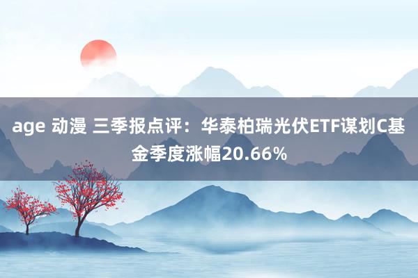 age 动漫 三季报点评:华泰柏瑞光伏ETF谋划C基金季度涨幅20.66%