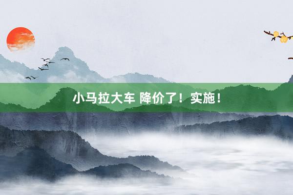 小马拉大车 降价了!实施!
