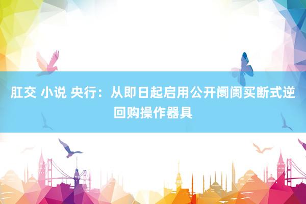 肛交 小说 央行:从即日起启用公开阛阓买断式逆回购操作器具