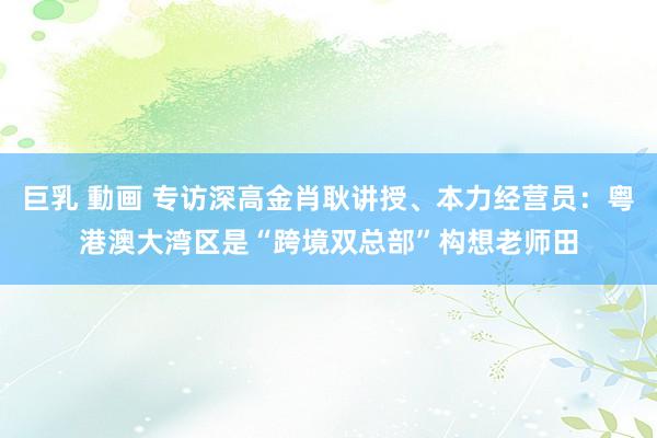 巨乳 動画 专访深高金肖耿讲授、本力经营员:粤港澳大湾区是“跨境双总部”构想老师田
