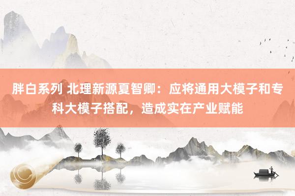 胖白系列 北理新源夏智卿:应将通用大模子和专科大模子搭配,造成实在产业赋能