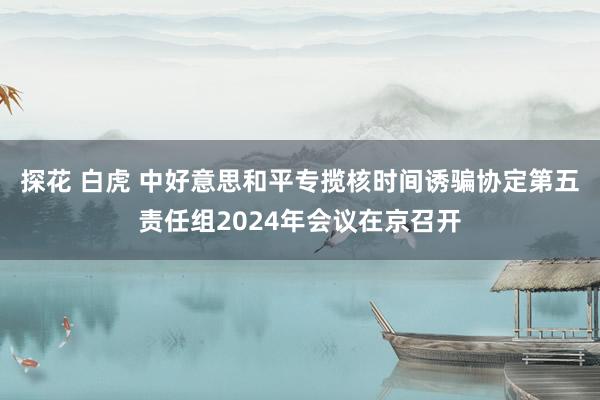 探花 白虎 中好意思和平专揽核时间诱骗协定第五责任组2024年会议在京召开
