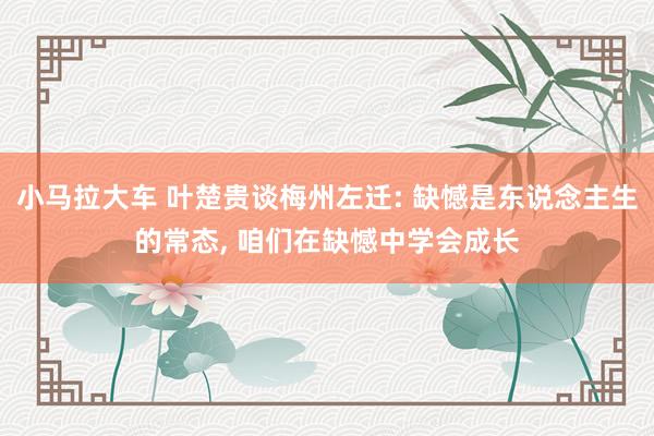 小马拉大车 叶楚贵谈梅州左迁: 缺憾是东说念主生的常态, 咱们在缺憾中学会成长