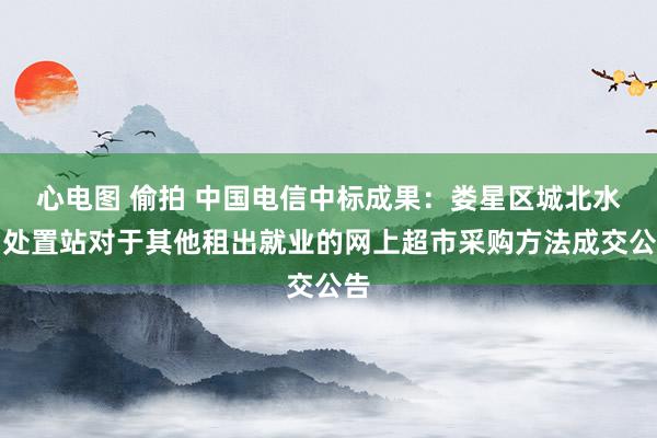 心电图 偷拍 中国电信中标成果:娄星区城北水利处置站对于其他租出就业的网上超市采购方法成交公告