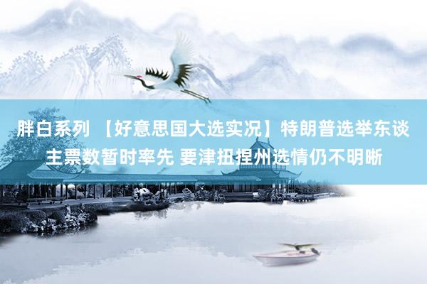 胖白系列 【好意思国大选实况】特朗普选举东谈主票数暂时率先 要津扭捏州选情仍不明晰