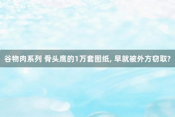 谷物肉系列 骨头鹰的1万套图纸, 早就被外方窃取?