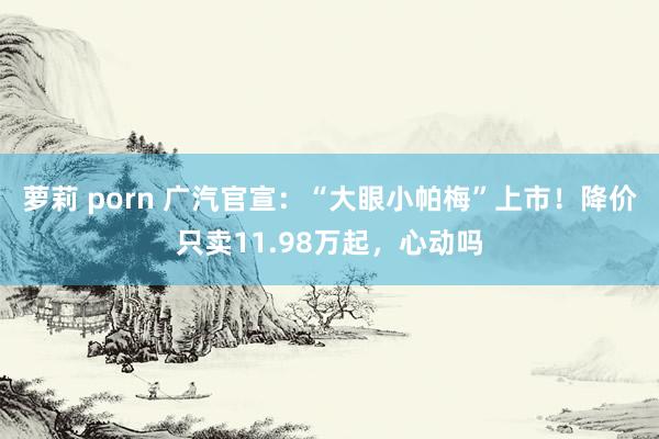 萝莉 porn 广汽官宣:“大眼小帕梅”上市!降价只卖11.98万起,心动吗