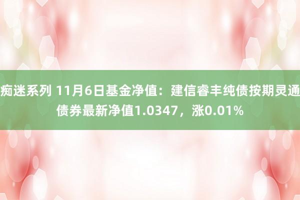痴迷系列 11月6日基金净值:建信睿丰纯债按期灵通债券最新净值1.0347,涨0.01%