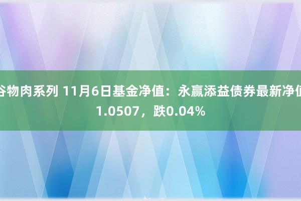 谷物肉系列 11月6日基金净值:永赢添益债券最新净值1.0507,跌0.04%