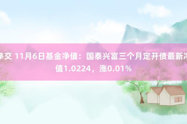 拳交 11月6日基金净值:国泰兴富三个月定开债最新净值1.0224,涨0.01%