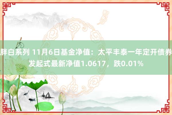 胖白系列 11月6日基金净值:太平丰泰一年定开债券发起式最新净值1.0617,跌0.01%