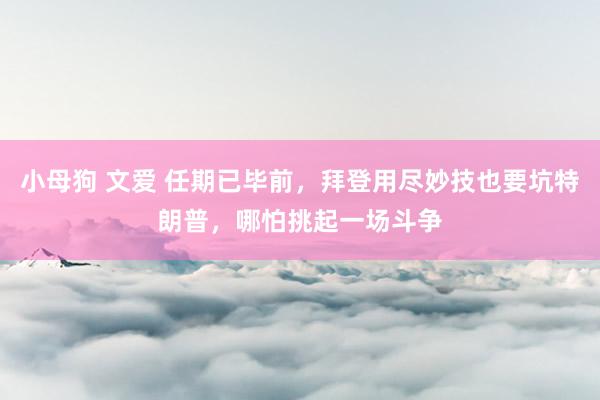 小母狗 文爱 任期已毕前,拜登用尽妙技也要坑特朗普,哪怕挑起一场斗争