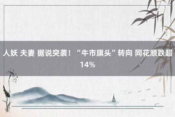 人妖 夫妻 据说突袭!“牛市旗头”转向 同花顺跌超14%