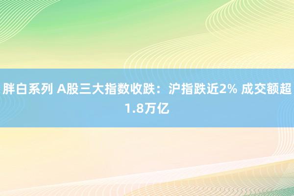 胖白系列 A股三大指数收跌:沪指跌近2% 成交额超1.8万亿