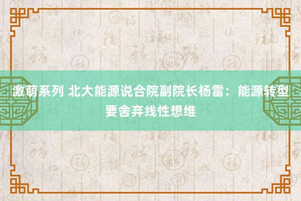 激萌系列 北大能源说合院副院长杨雷:能源转型要舍弃线性想维