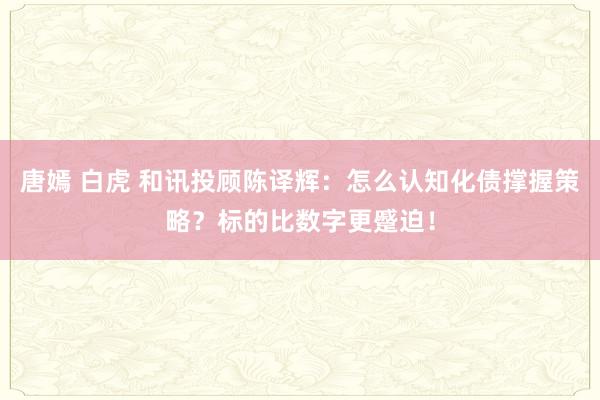 唐嫣 白虎 和讯投顾陈译辉:怎么认知化债撑握策略?标的比数字更蹙迫!