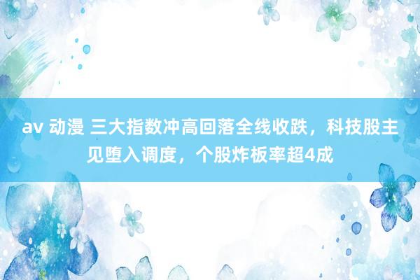 av 动漫 三大指数冲高回落全线收跌,科技股主见堕入调度,个股炸板率超4成