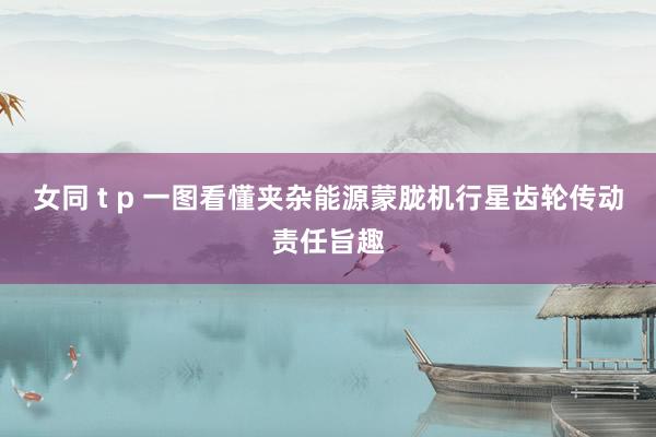 女同 t p 一图看懂夹杂能源蒙胧机行星齿轮传动责任旨趣