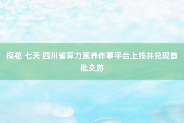 探花 七天 四川省算力颐养作事平台上线并兑现首批交游