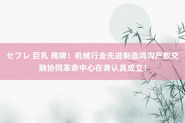 セフレ 巨乳 揭牌!机械行业先进制造鸿沟产教交融协同革命中心在青认真成立!