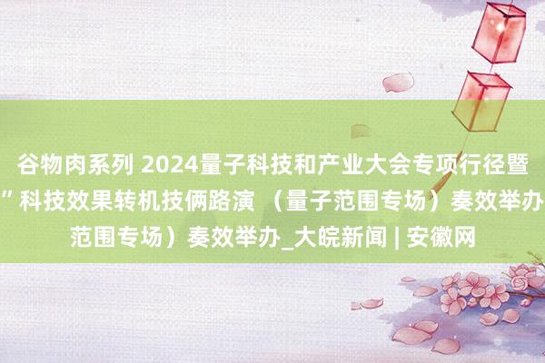谷物肉系列 2024量子科技和产业大会专项行径暨“科里科气·科创荟”科技效果转机技俩路演 (量子范围专场)奏效举办_大皖新闻 | 安徽网
