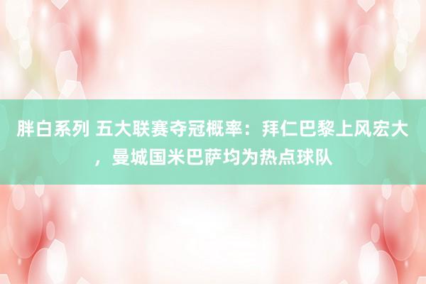 胖白系列 五大联赛夺冠概率:拜仁巴黎上风宏大,曼城国米巴萨均为热点球队
