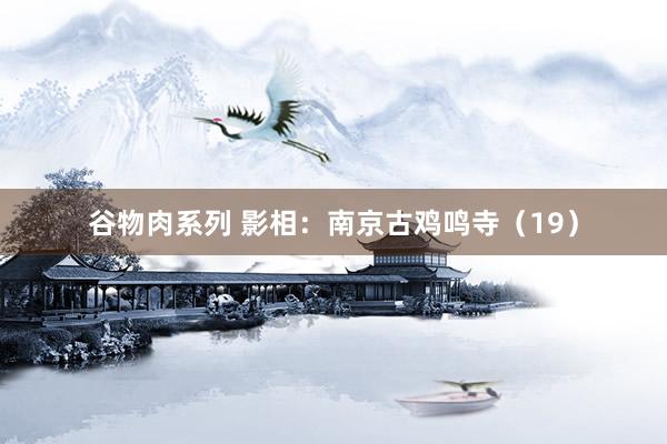 谷物肉系列 影相:南京古鸡鸣寺(19)