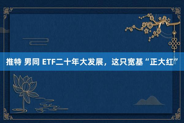 推特 男同 ETF二十年大发展,这只宽基“正大红”