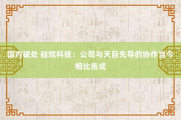 国内破处 硅烷科技:公司与天目先导的协作当今相比告成
