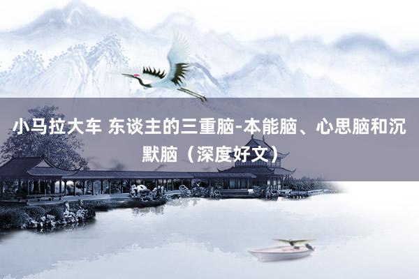 小马拉大车 东谈主的三重脑-本能脑、心思脑和沉默脑(深度好文)