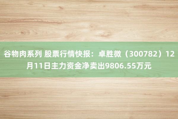 谷物肉系列 股票行情快报:卓胜微(300782)12月11日主力资金净卖出9806.55万元