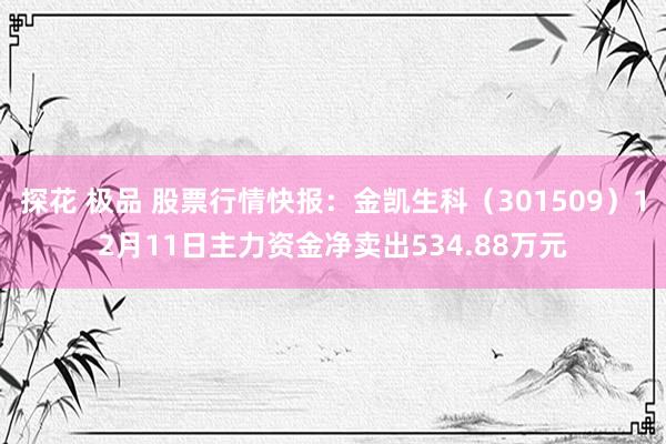 探花 极品 股票行情快报:金凯生科(301509)12月11日主力资金净卖出534.88万元