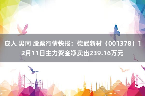 成人 男同 股票行情快报:德冠新材(001378)12月11日主力资金净卖出239.16万元