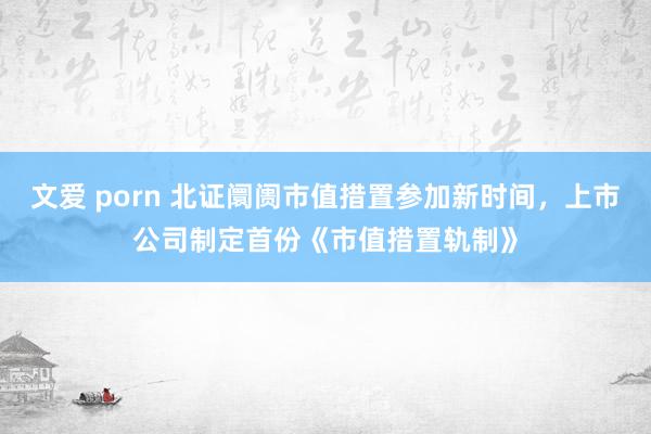 文爱 porn 北证阛阓市值措置参加新时间,上市公司制定首份《市值措置轨制》