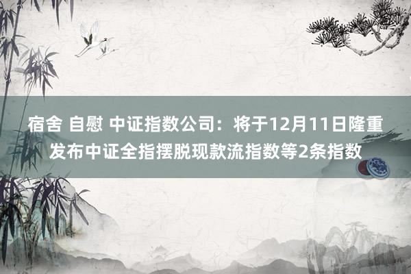 宿舍 自慰 中证指数公司:将于12月11日隆重发布中证全指摆脱现款流指数等2条指数