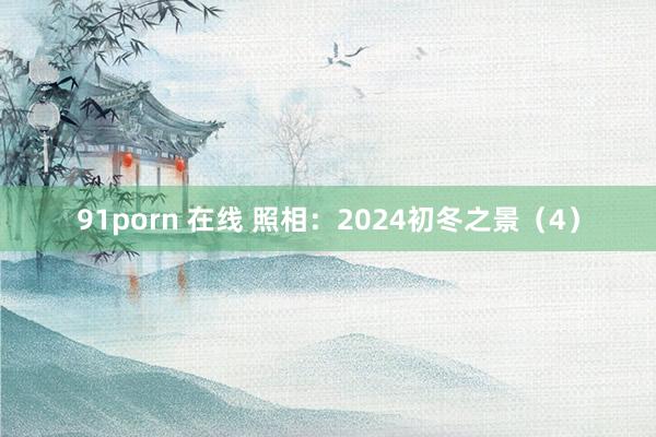 91porn 在线 照相:2024初冬之景(4)