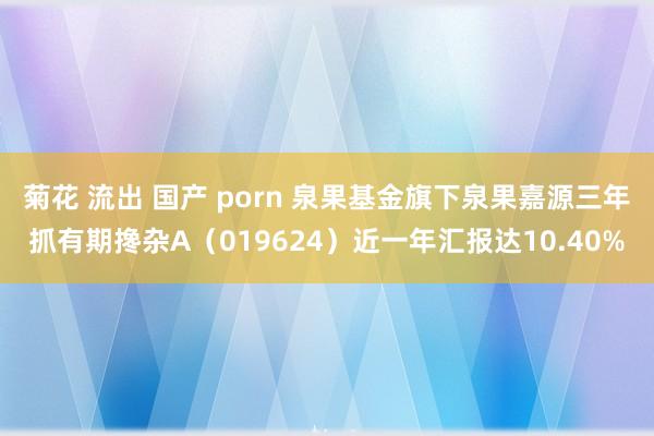 菊花 流出 国产 porn 泉果基金旗下泉果嘉源三年抓有期搀杂A(019624)近一年汇报达10.40%