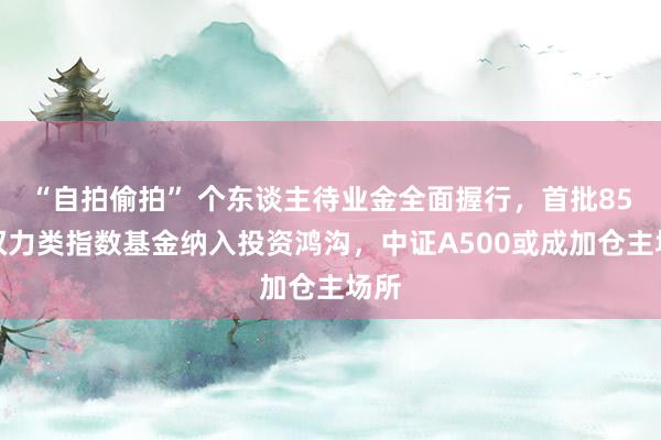 “自拍偷拍” 个东谈主待业金全面握行,首批85只权力类指数基金纳入投资鸿沟,中证A500或成加仓主场所
