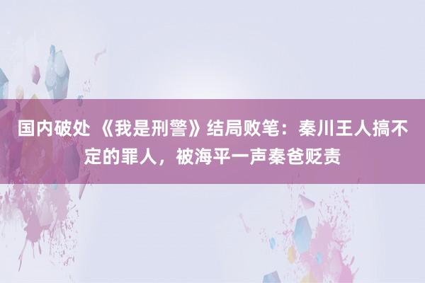 国内破处 《我是刑警》结局败笔:秦川王人搞不定的罪人,被海平一声秦爸贬责
