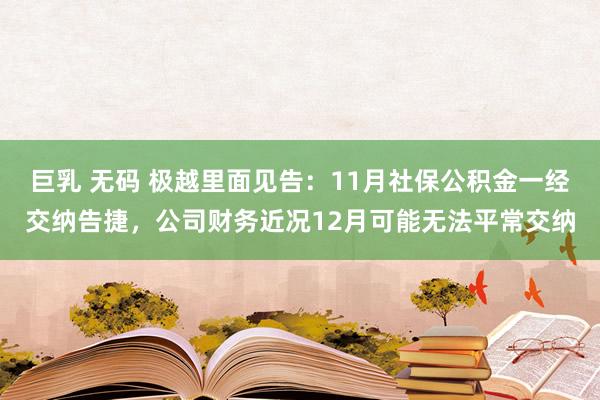 巨乳 无码 极越里面见告:11月社保公积金一经交纳告捷,公司财务近况12月可能无法平常交纳