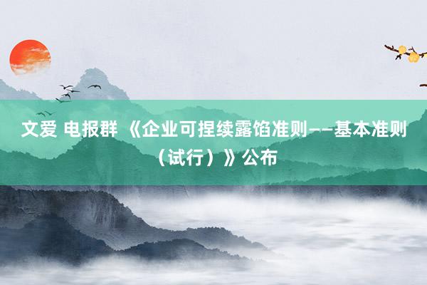 文爱 电报群 《企业可捏续露馅准则——基本准则(试行)》公布