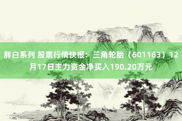 胖白系列 股票行情快报:三角轮胎(601163)12月17日主力资金净买入190.20万元