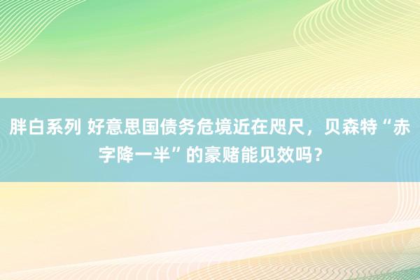 胖白系列 好意思国债务危境近在咫尺,贝森特“赤字降一半”的豪赌能见效吗?