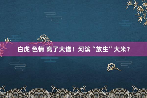 白虎 色情 离了大谱!河滨“放生”大米?
