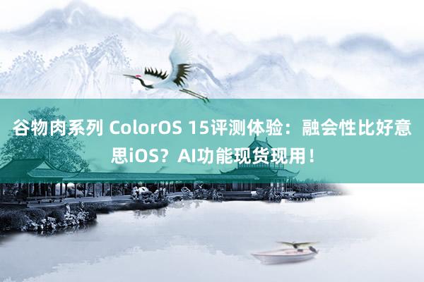 谷物肉系列 ColorOS 15评测体验:融会性比好意思iOS?AI功能现货现用!