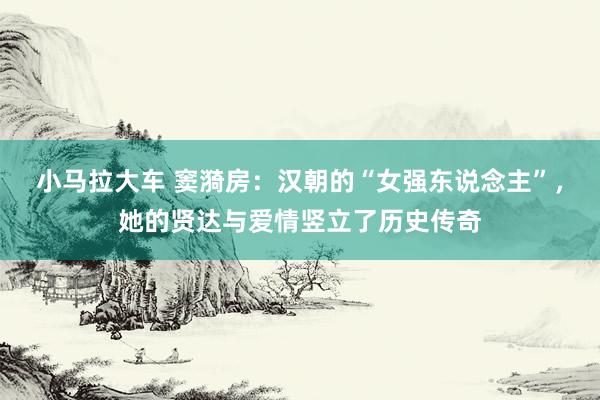 小马拉大车 窦漪房:汉朝的“女强东说念主”,她的贤达与爱情竖立了历史传奇