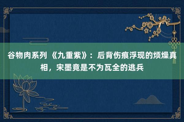 谷物肉系列 《九重紫》:后背伤痕浮现的烦燥真相,宋墨竟是不为瓦全的逃兵